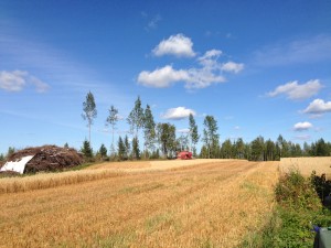 Suuntana omavaraisuus, varastettu, saatu, vaihdettu, jaettu ja ostettu